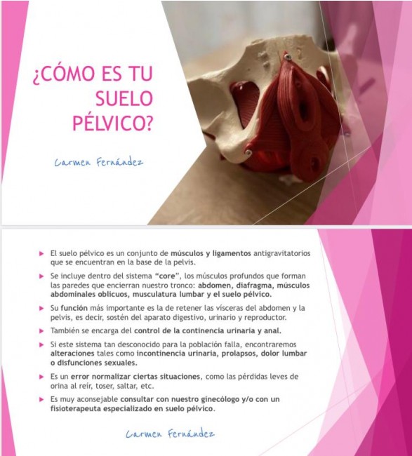 Fisiointegral